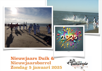 Nieuwjaarsduik 2025.